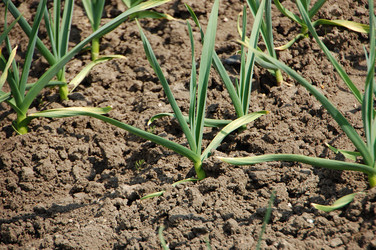 Similar image 636512