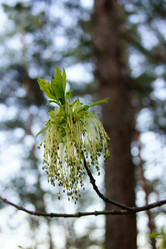 Similar image 636585