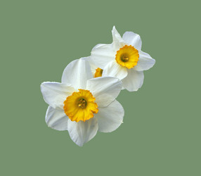 Similar image 636593