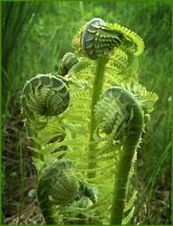 Similar image 636600