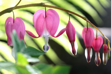 Similar image 636604