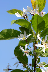 Similar image 636605