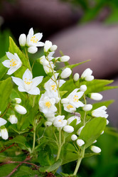 Similar image 636607