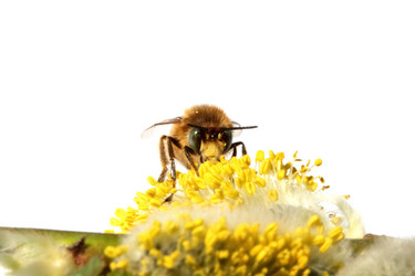 Similar image 636610