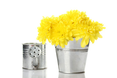 Similar image 636669