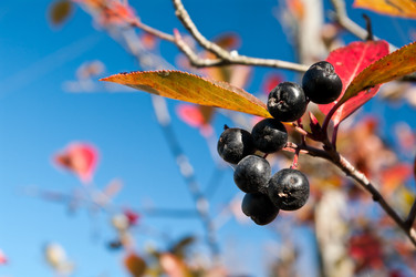 Similar image 636774