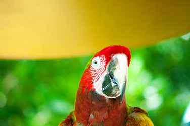 Similar image 636815