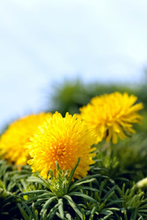 Similar image 636839