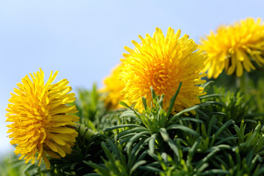 Similar image 636840