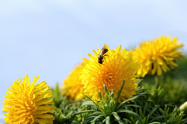 Similar image 636841