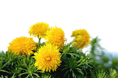 Similar image 636842