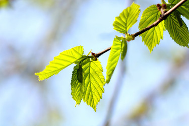 Similar image 636850