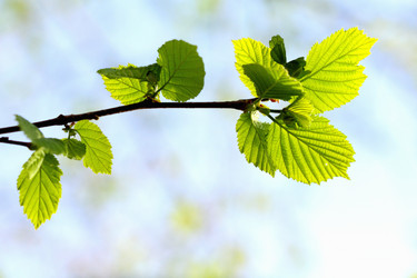 Similar image 636851