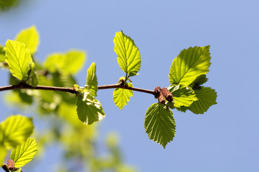 Similar image 636854