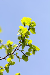 Similar image 636855