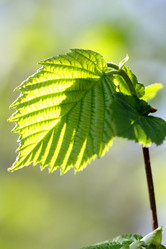 Similar image 636856