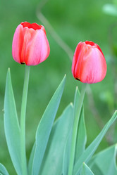 Similar image 636864