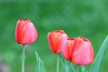 Similar image 636866