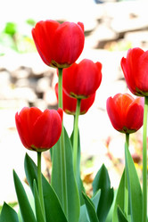 Similar image 636867