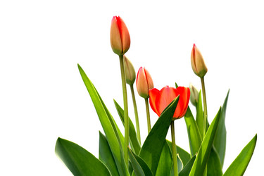 Similar image 636870