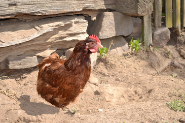 Similar image 636891