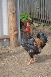 Similar image 636893