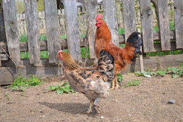 Similar image 636895