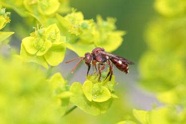 Similar image 636919