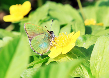 Similar image 636959