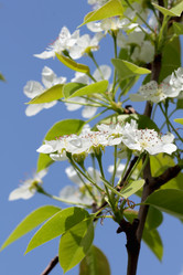 Similar image 636985