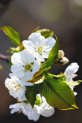 Similar image 636988