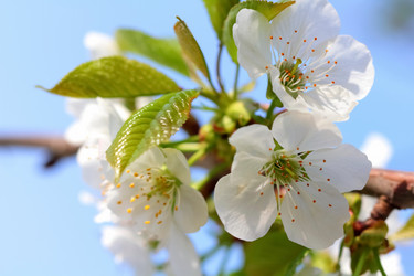 Similar image 636990