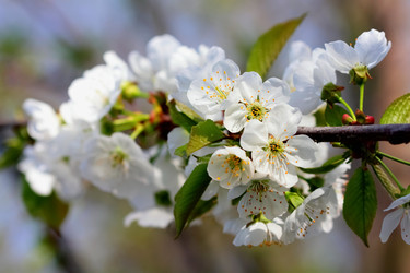 Similar image 636993