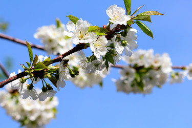 Similar image 636998