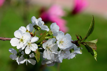 Similar image 637000