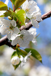 Similar image 637001