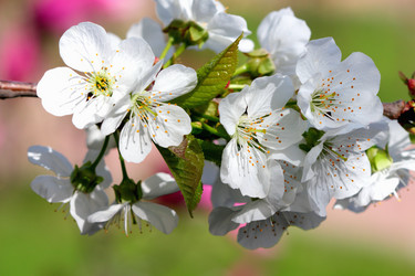 Similar image 637004