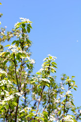 Similar image 637008