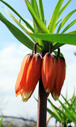 Similar image 637013