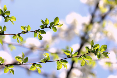 Similar image 637016