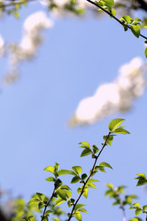 Similar image 637017