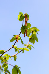 Similar image 637023