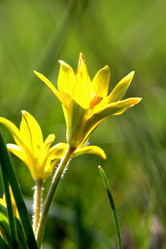 Similar image 637031