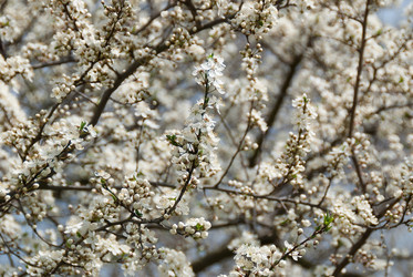 Similar image 637049