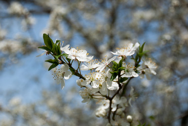 Similar image 637055