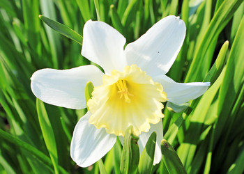 Similar image 637066