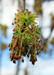 Similar image 637087