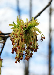 Similar image 637089