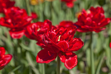 Similar image 637096