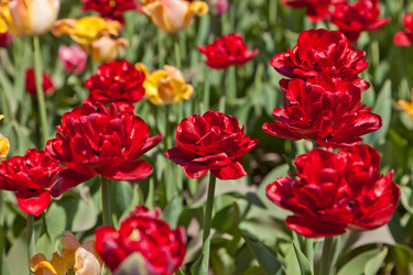 Similar image 637097